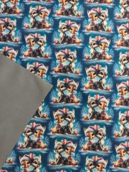 Softshell zimné - Vianočné koloušce