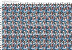 Softshell s beránkem- Yorkšírci v růžovém