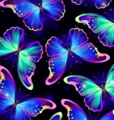 Teplákovina nepočesaná Farebné motýliky