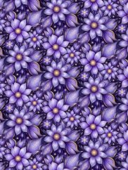 Silky - Fialové kvety so zlatým stredom