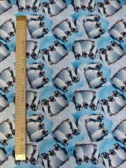 Softshell zimné - Tučniaky na ľade