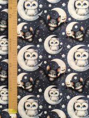 Teplákovina nepočesaná - Netopiere a sovy