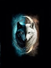 Panel - Teplákovina Biely a čierny vlk