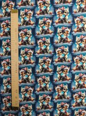 Teplákovina nepočesaná-  Vánoční koloušci