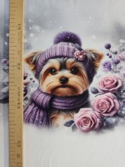 Panel - Teplákovina- Yorkšír s fialovou čiapkou 47x43