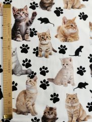 Teplákovina nepočesaná- Mačičky a labky