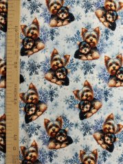 Úplet - Yorkšírci a vločky