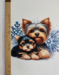 Panel - Teplákovina- Yorkšír a vločka 47x43