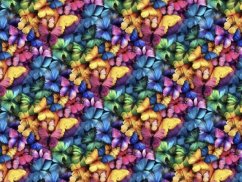 Venezia - Farebný motýľ