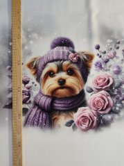 Panel- Teplákovina - Yorkšír s fialovou čiapkou 80x60