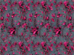 Silky - Fuchsiové listy