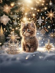 Panel- Teplákovina - Kočička na sněhu 80x60