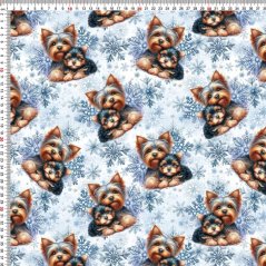 Úplet - Yorkšírci a vločky