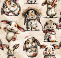 Teplákovina nepočesaná- Zajačikovia