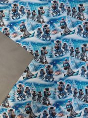 Softshell zimné - Zebry na snehu