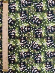 Úplet - Mýval v sedmokráskach