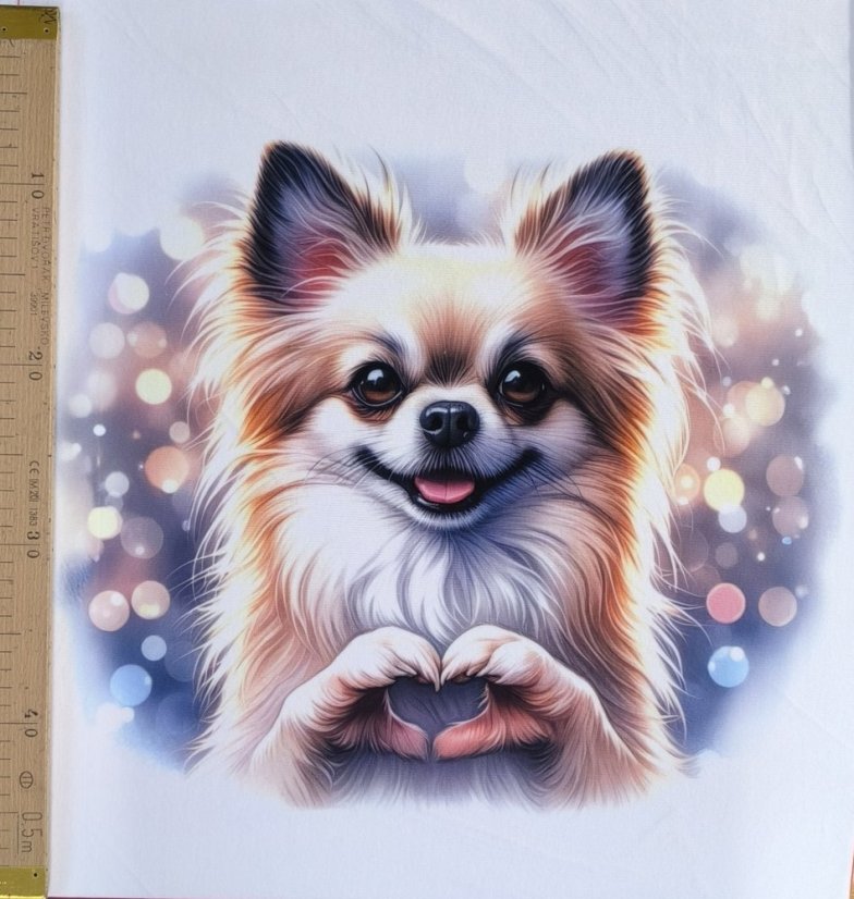 Panel- Velúr na vankúšik - Čivava so srdiečkom 100x50 k odeslání od 11.2.2025