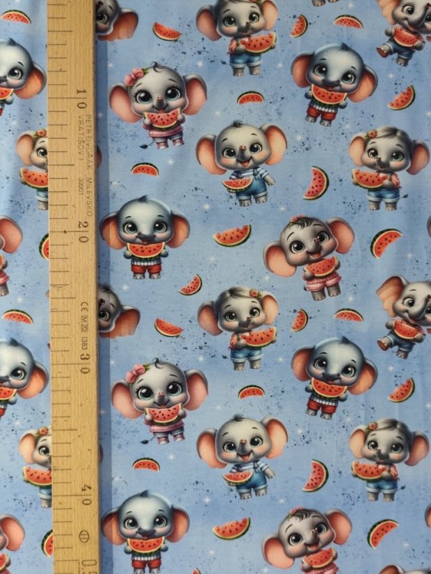 Úplet - Sloníča s melónom