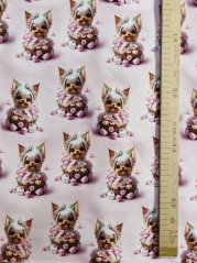 Teplákovina nepočesaná- Yorkšírci v košíku