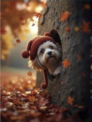 Panel- Teplákovina - Psík v kmeni 80x60