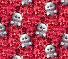 Úplet - Biele mačiatka