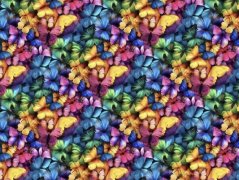 Venezia - Farebný motýľ