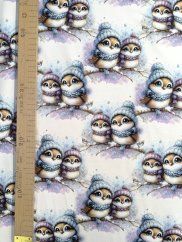 Teplákovina nepočesaná - Vtáčiky v zime