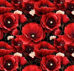 Úplet - Červené vlčí máky